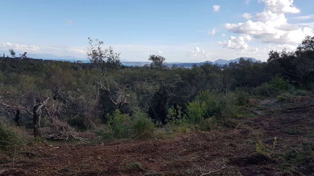 Terrain à Corfou, Grèce, 4 000 m² - image 1