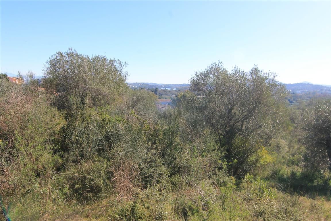 Terreno en Corfú, Grecia, 4 131 m² - imagen 1
