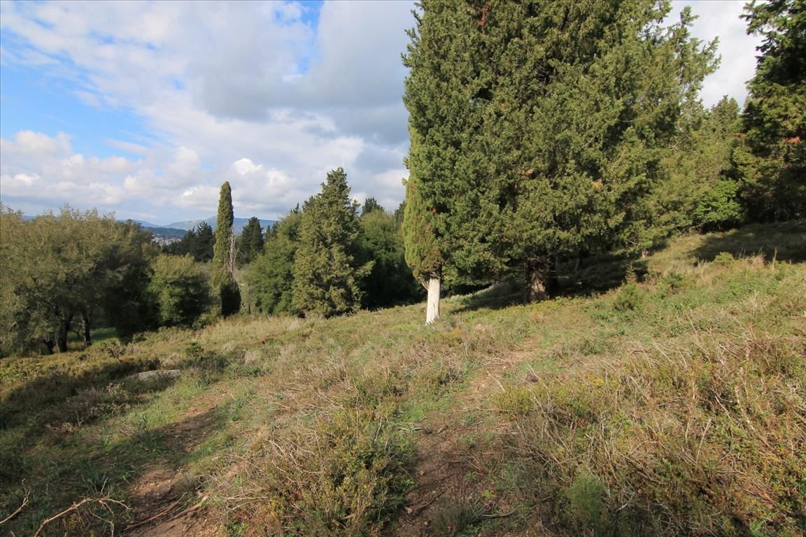 Terreno en Corfú, Grecia, 6 000 m² - imagen 1