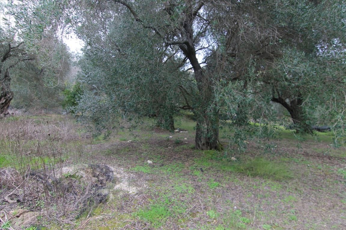 Grundstück in Korfu, Griechenland, 6 400 m² - Foto 1