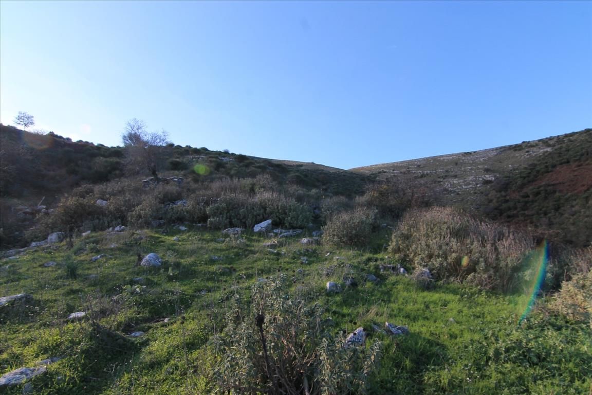 Terreno en Corfú, Grecia, 8 000 m² - imagen 1