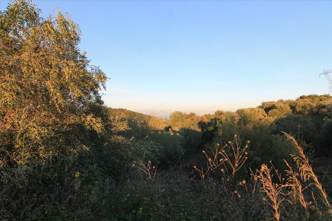 Grundstück in Korfu, Griechenland, 5 740 m² - Foto 1