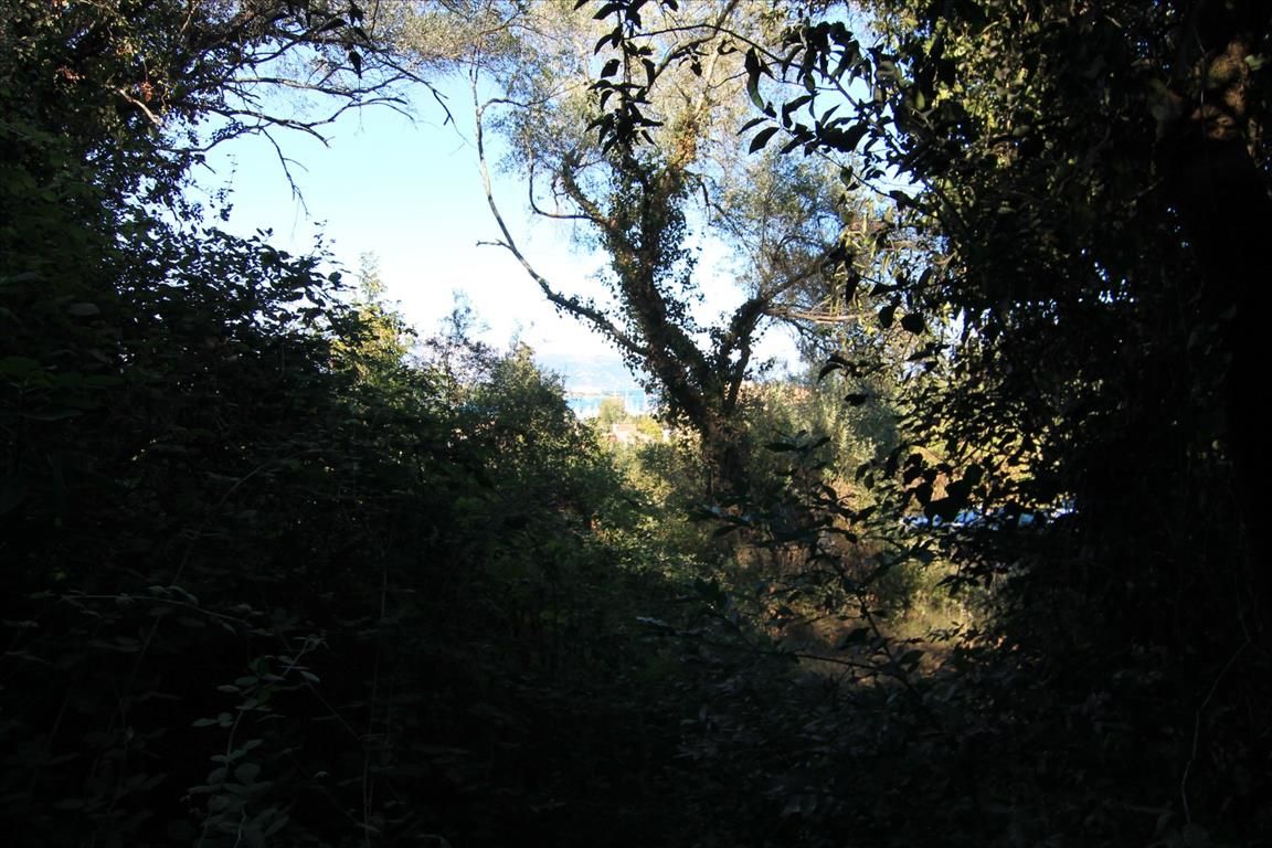 Terrain à Corfou, Grèce, 6 500 m² - image 1