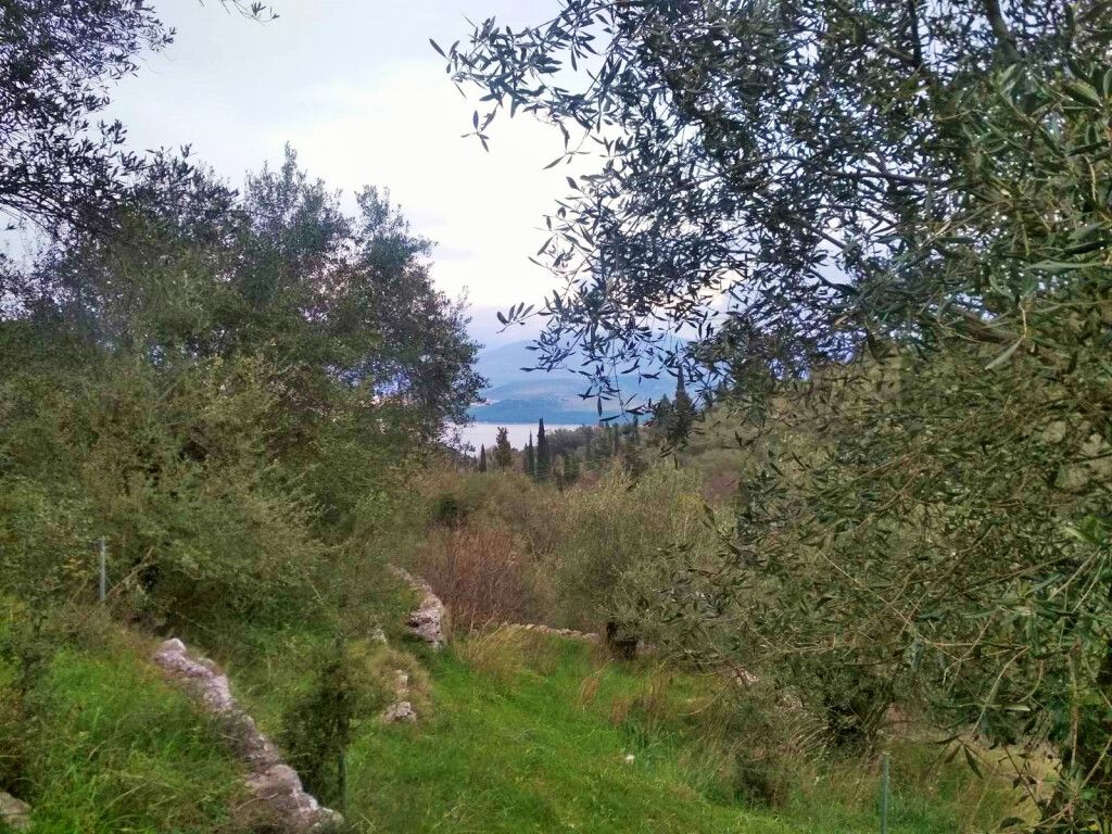 Terreno en Corfú, Grecia, 4 363 m² - imagen 1