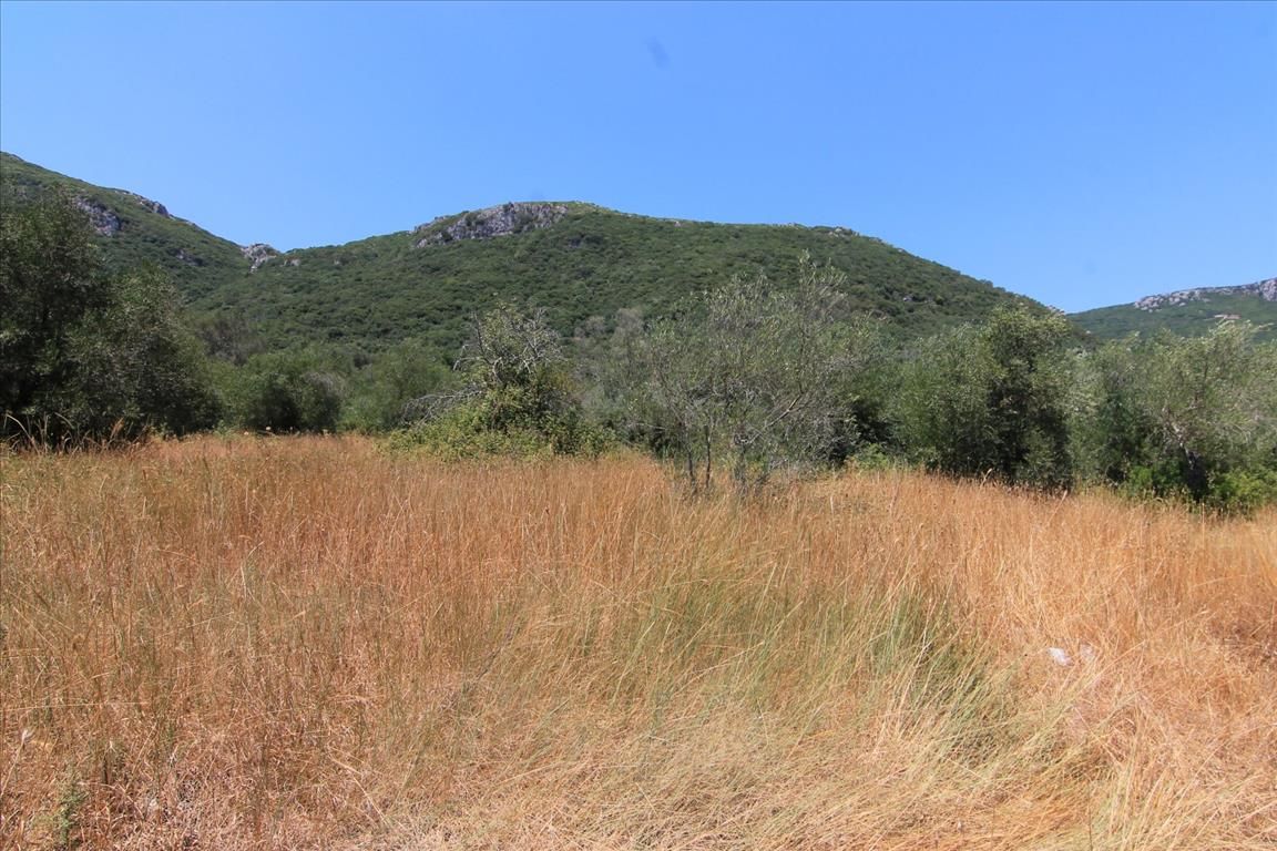 Terrain à Corfou, Grèce, 7 000 m² - image 1