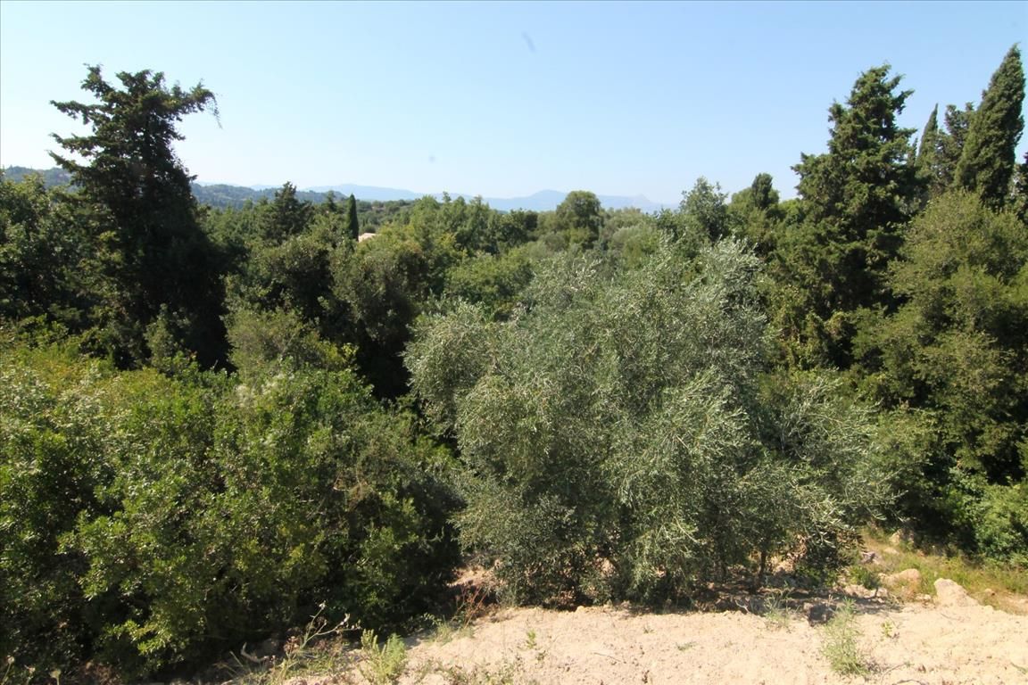 Grundstück in Korfu, Griechenland, 5 300 m² - Foto 1