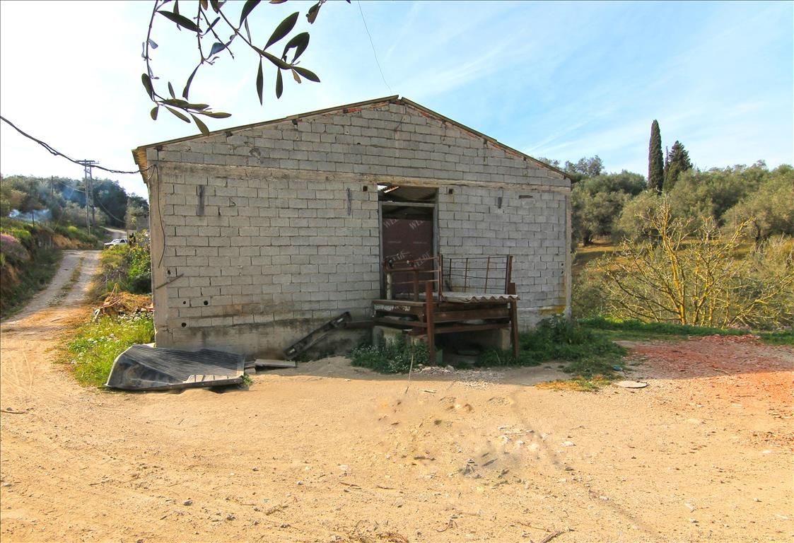 Grundstück in Korfu, Griechenland, 8 500 m² - Foto 1