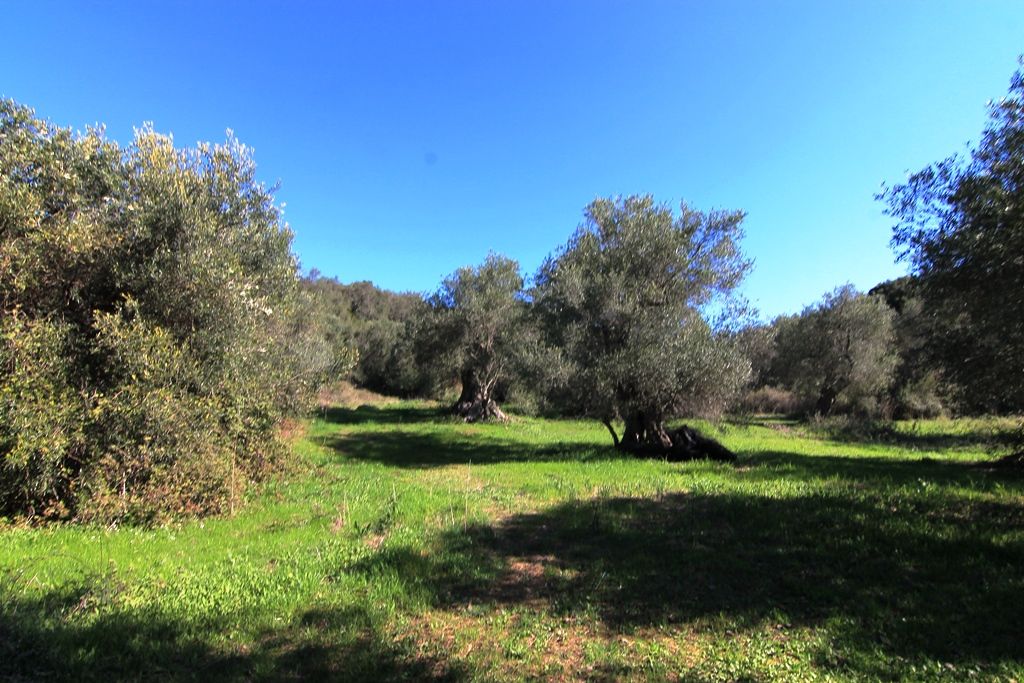 Grundstück in Korfu, Griechenland, 44 000 m² - Foto 1