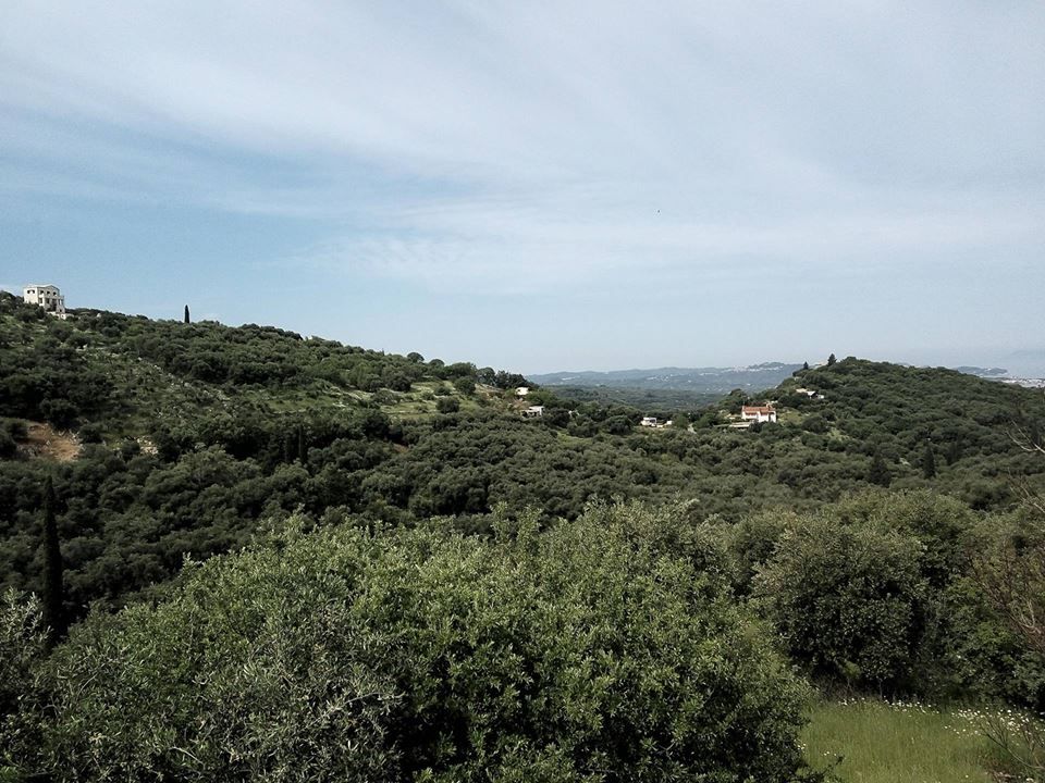 Terrain à Corfou, Grèce, 17 000 m² - image 1