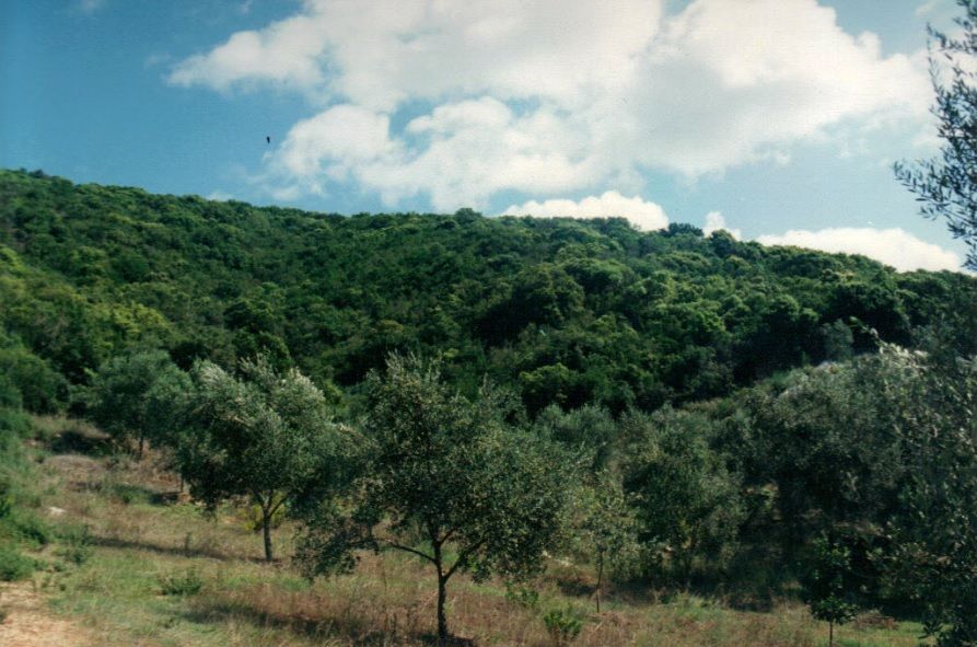 Terreno en Corfú, Grecia, 68 000 m² - imagen 1