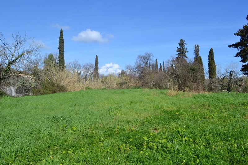 Terrain à Corfou, Grèce, 6 500 m² - image 1