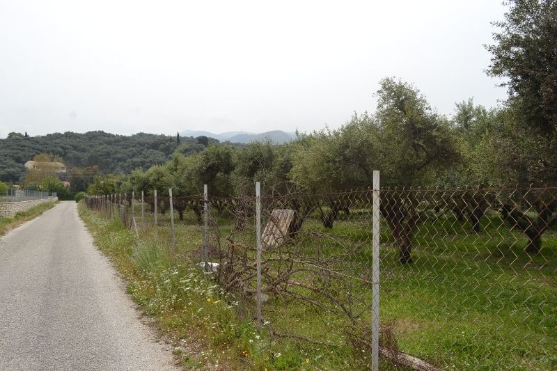 Terrain à Corfou, Grèce, 9 000 m² - image 1