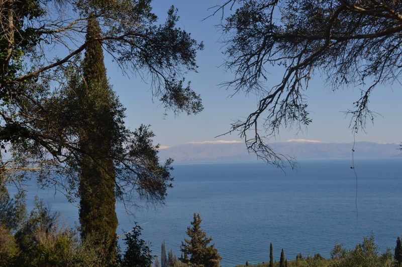 Terrain à Corfou, Grèce, 8 000 m² - image 1