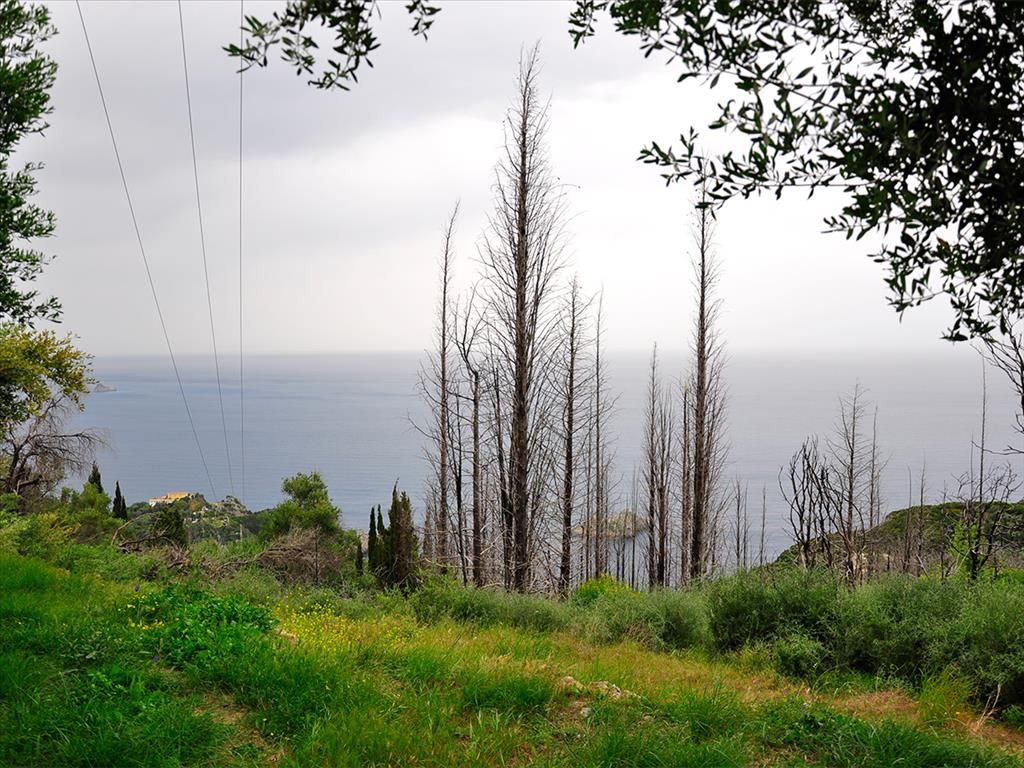 Terrain à Corfou, Grèce, 2 500 m² - image 1