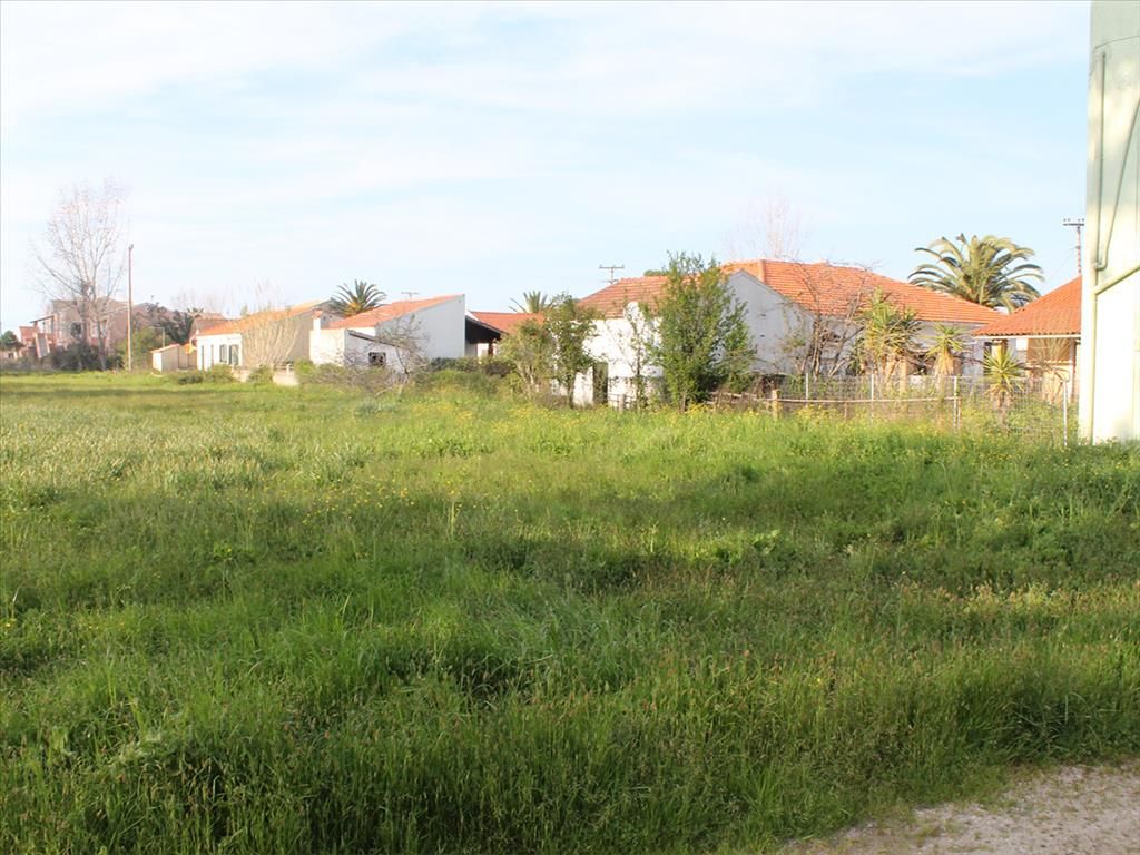 Land in Corfu, Greece, 4 225 m² - picture 1