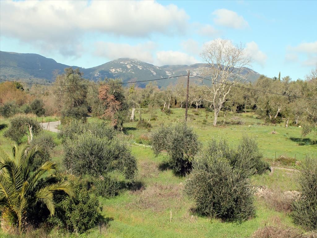 Land in Corfu, Greece, 6 000 m² - picture 1