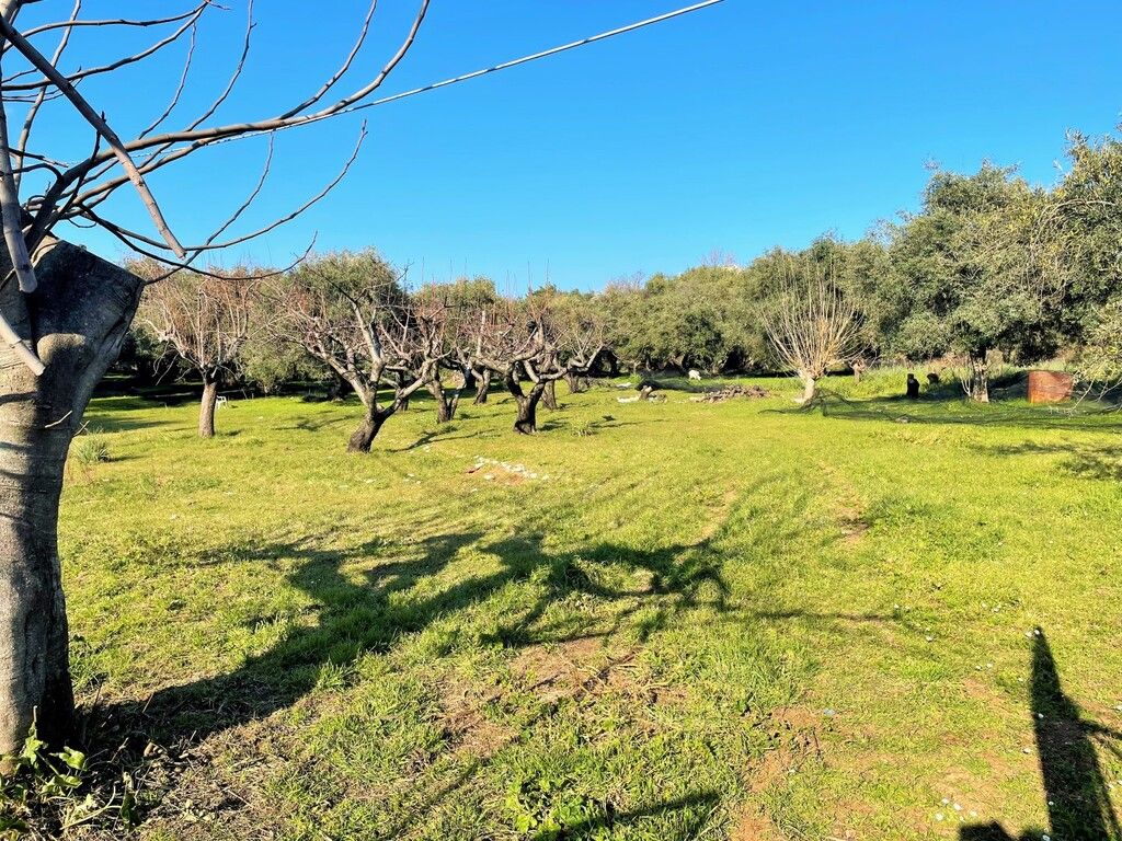 Terreno a Corfù, Grecia, 3 675 m2 - foto 2