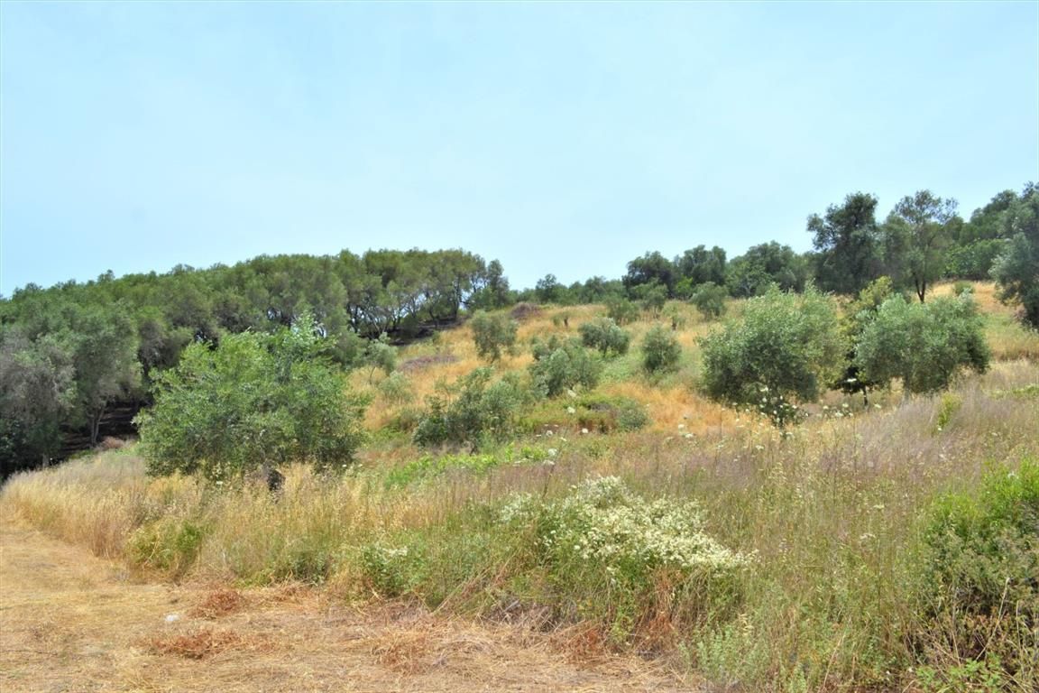 Terreno en Corfú, Grecia, 12 000 m² - imagen 2