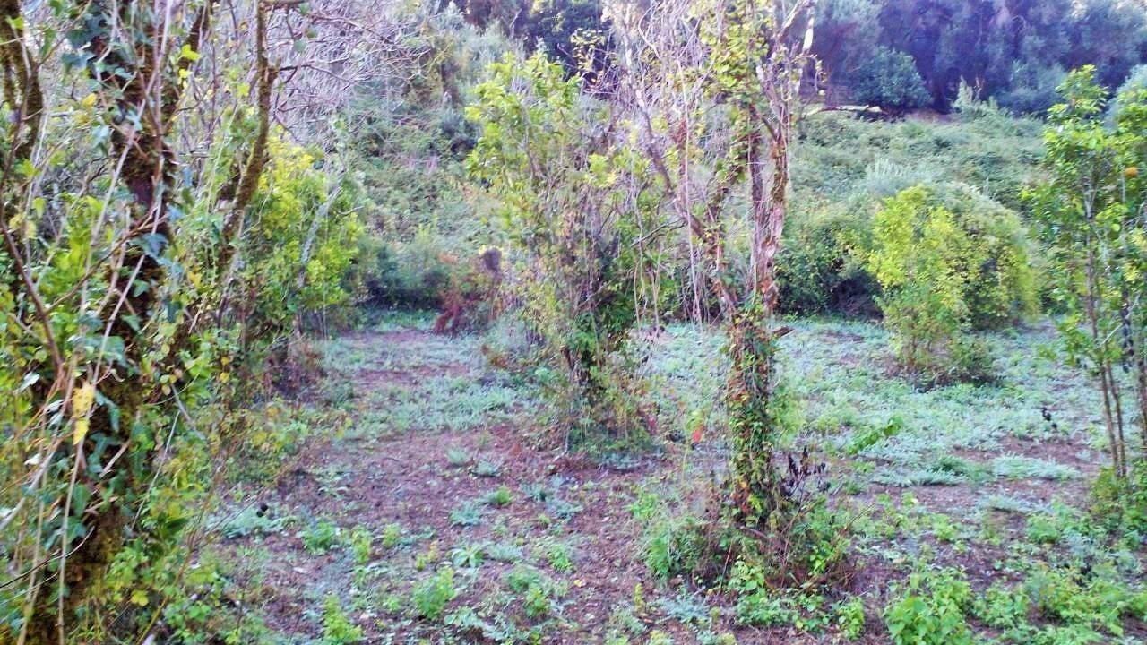 Terreno a Corfù, Grecia, 8 104 m2 - foto 2