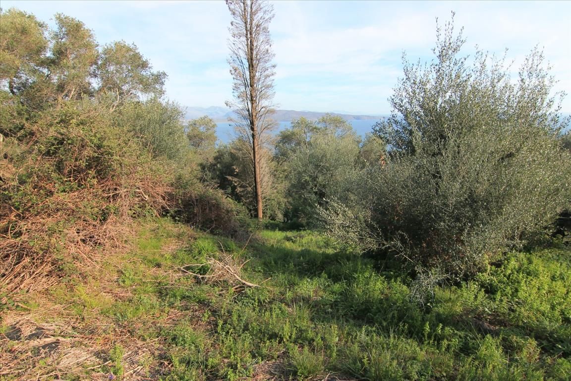 Terreno en Corfú, Grecia, 2 400 m² - imagen 2