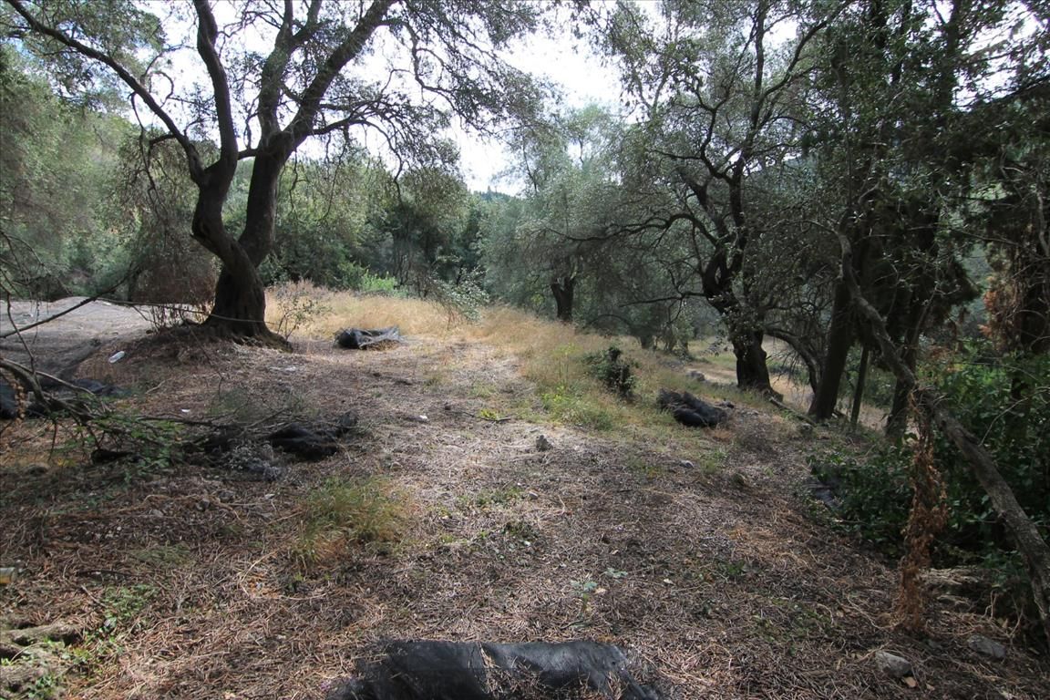Grundstück in Korfu, Griechenland, 5 000 m² - Foto 2