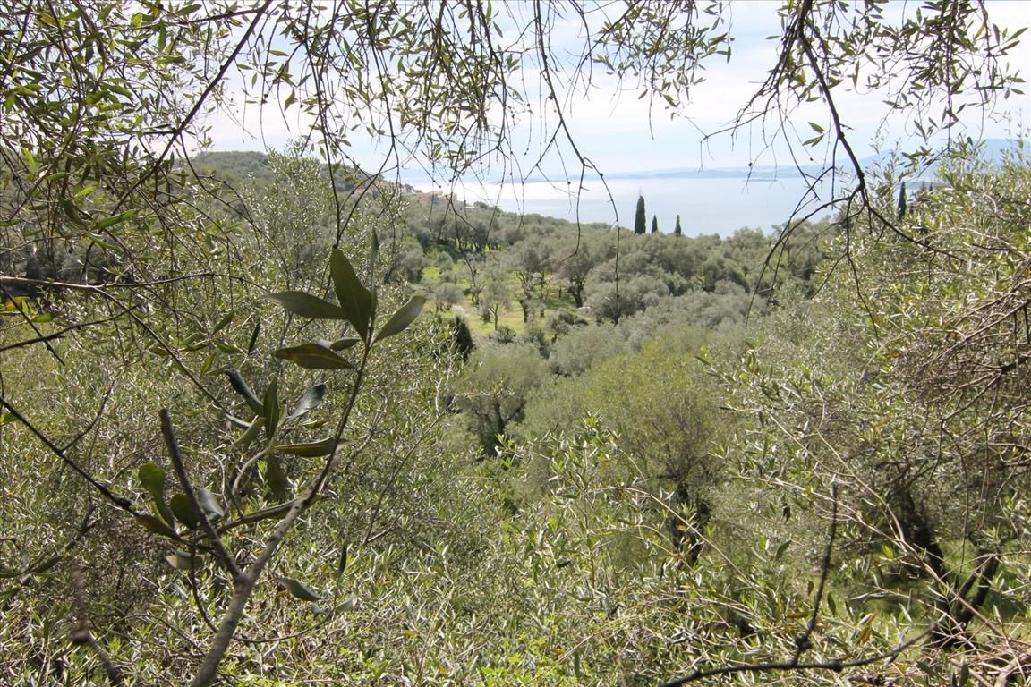 Terreno en Corfú, Grecia, 9 000 m² - imagen 2