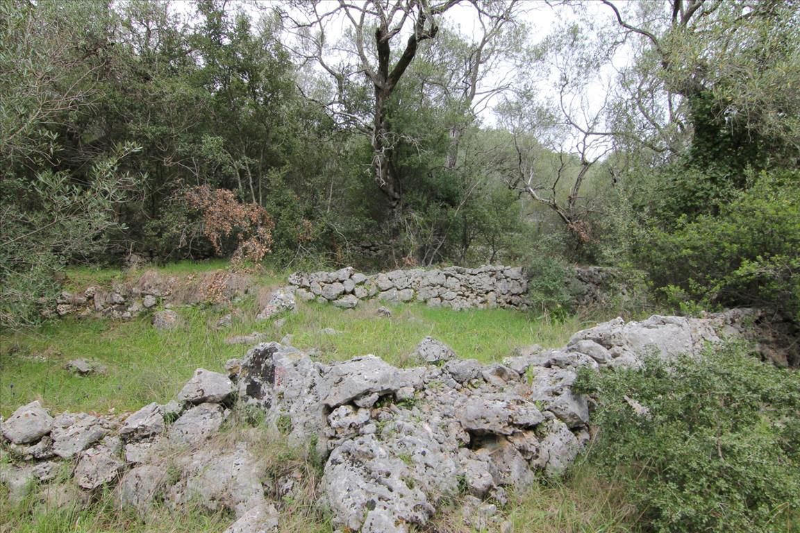 Land in Corfu, Greece, 10 000 m² - picture 2