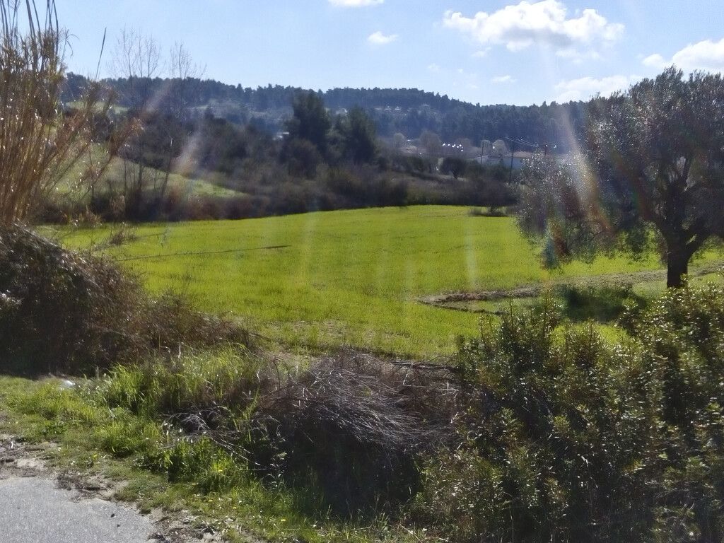 Land in Kassandra, Greece, 18 480 m² - picture 2