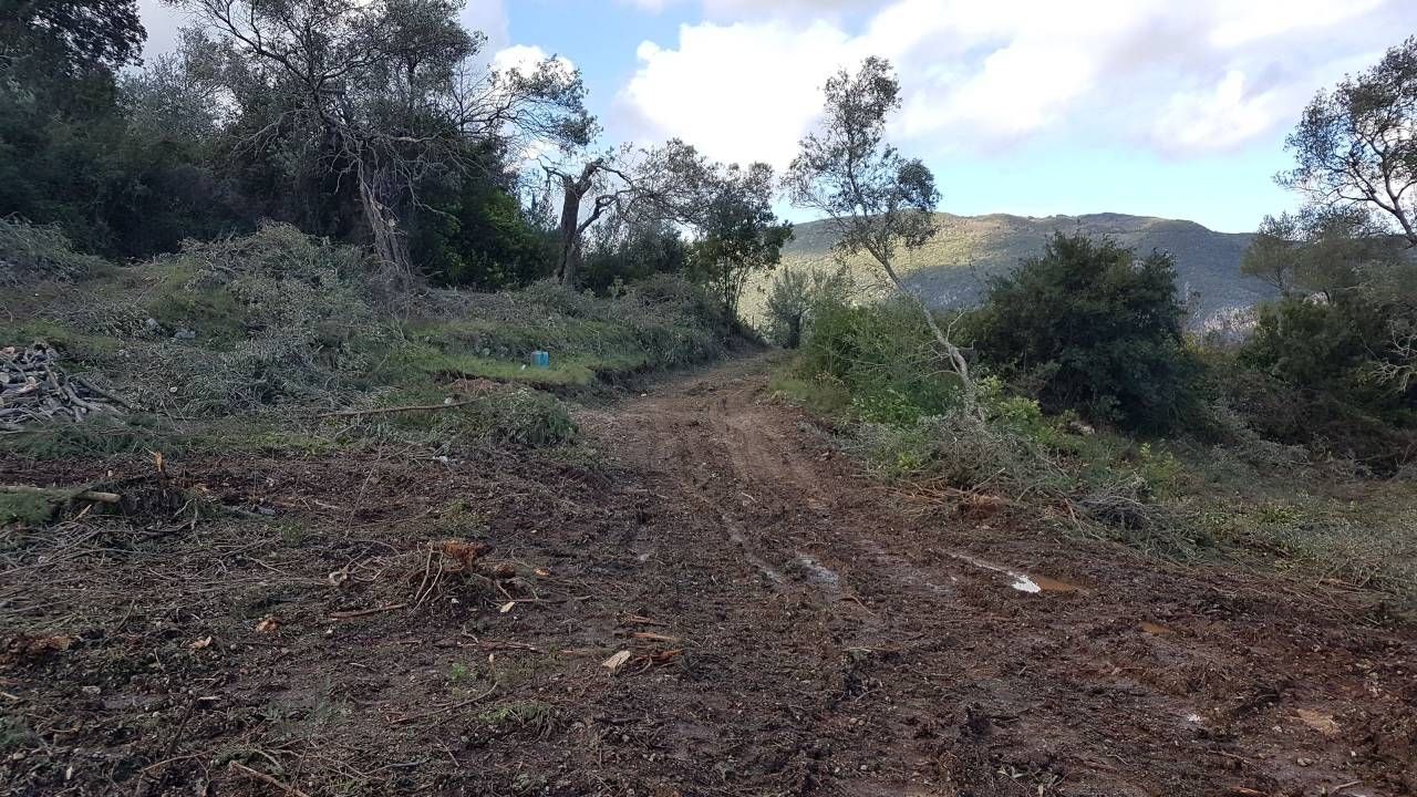 Terreno a Corfù, Grecia, 4 000 m2 - foto 2