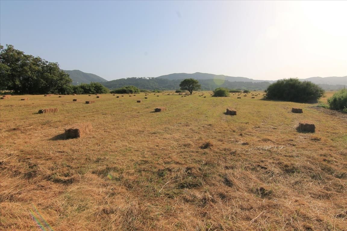 Land in Corfu, Greece, 15 000 m² - picture 2