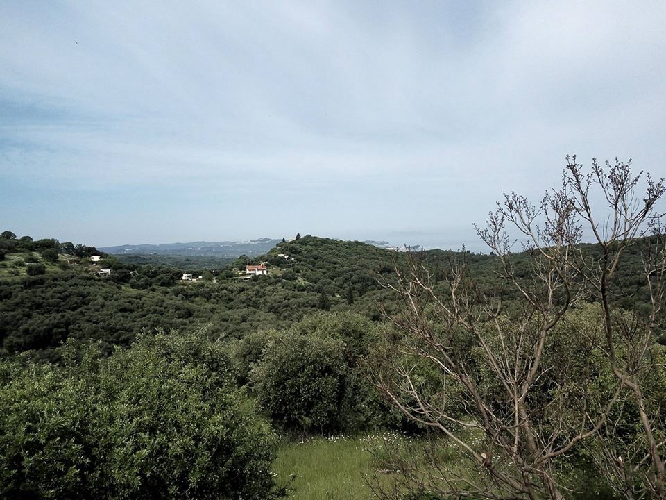Land in Corfu, Greece, 17 000 m² - picture 2