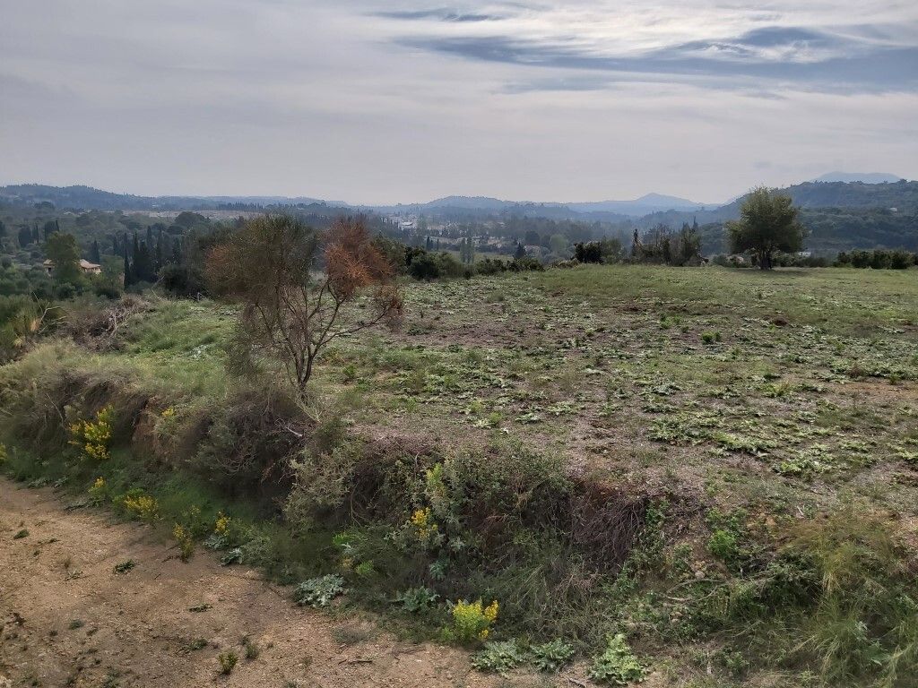 Land in Corfu, Greece, 7 421 m² - picture 3