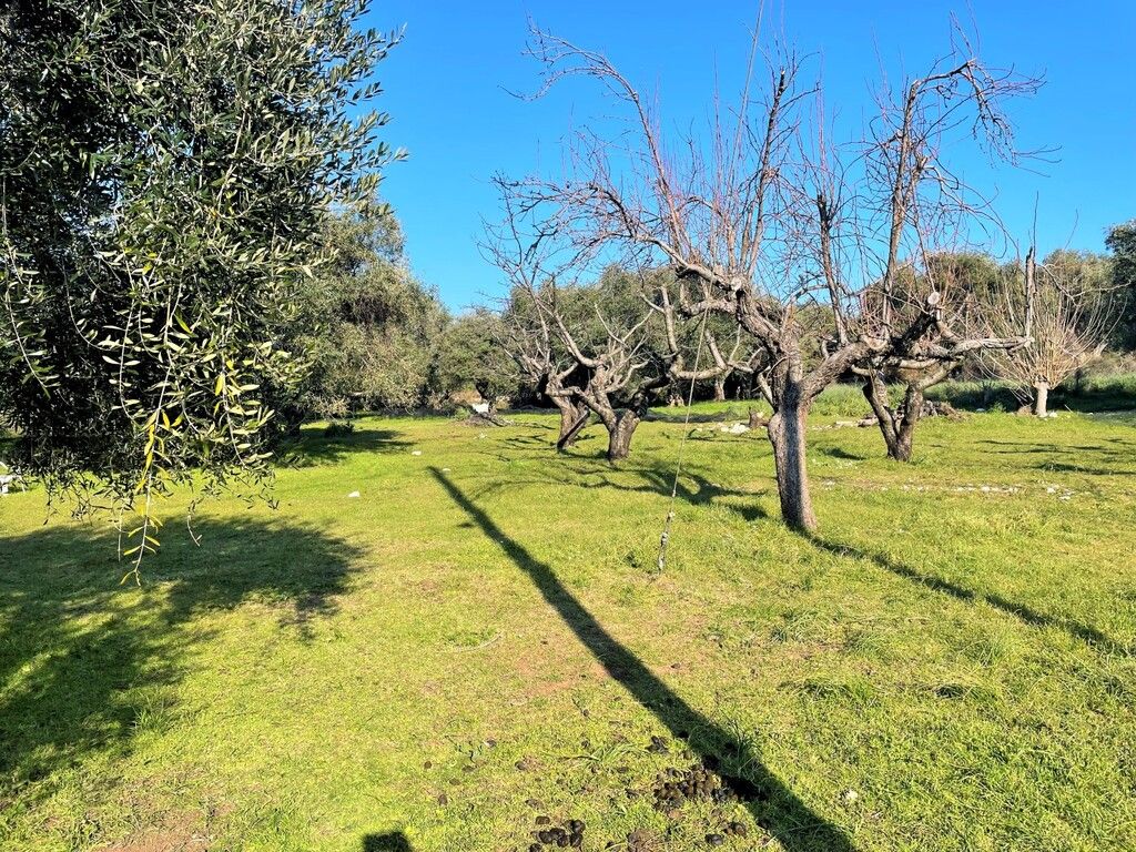 Terreno a Corfù, Grecia, 3 675 m2 - foto 3