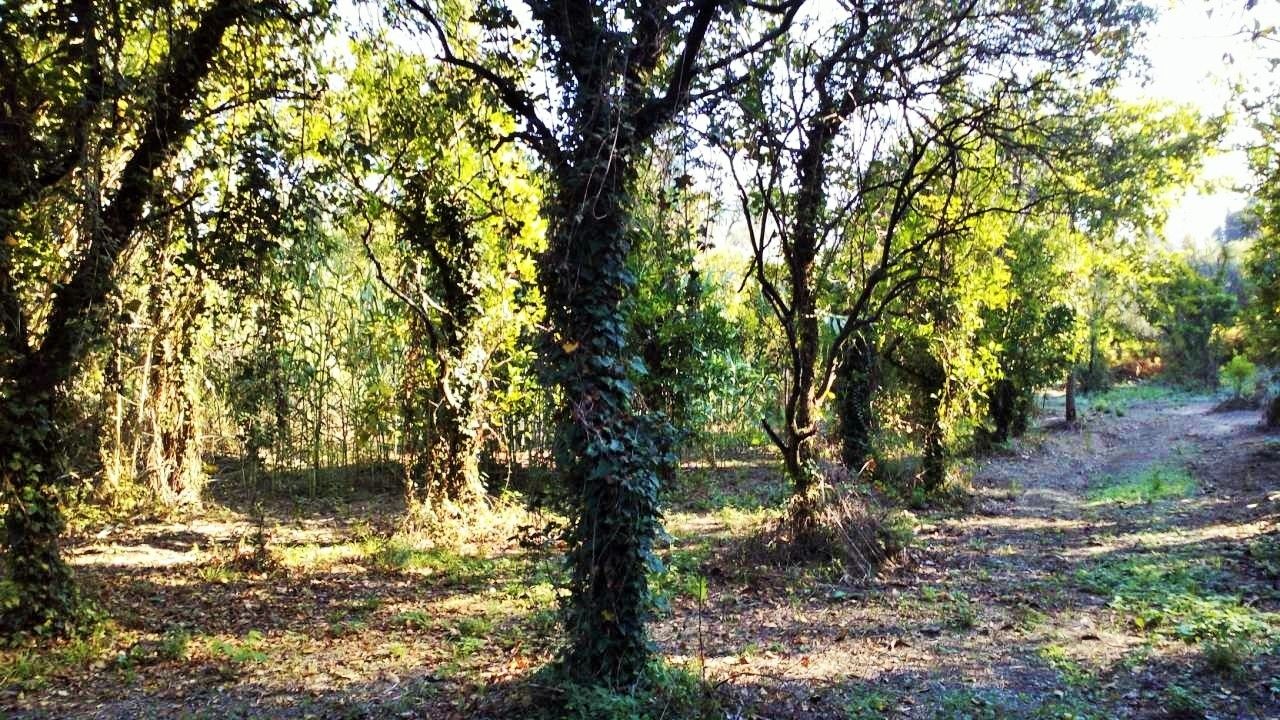 Terreno a Corfù, Grecia, 8 104 m2 - foto 3