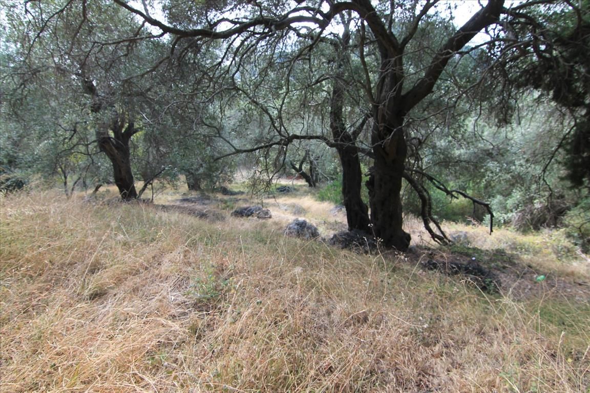 Grundstück in Korfu, Griechenland, 5 000 m² - Foto 3