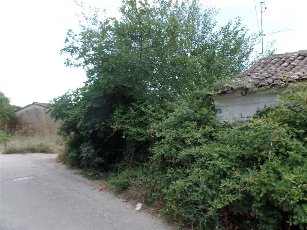 Grundstück in Korfu, Griechenland, 7 000 m² - Foto 3