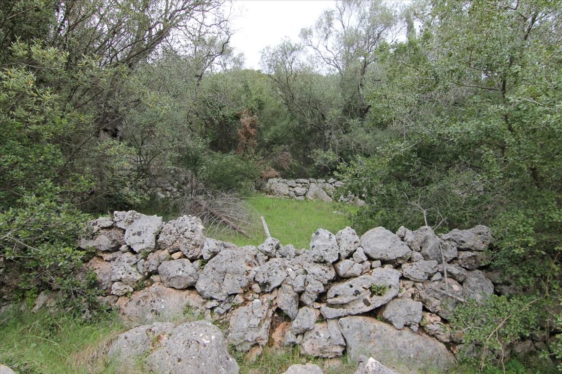 Land in Corfu, Greece, 10 000 m² - picture 3