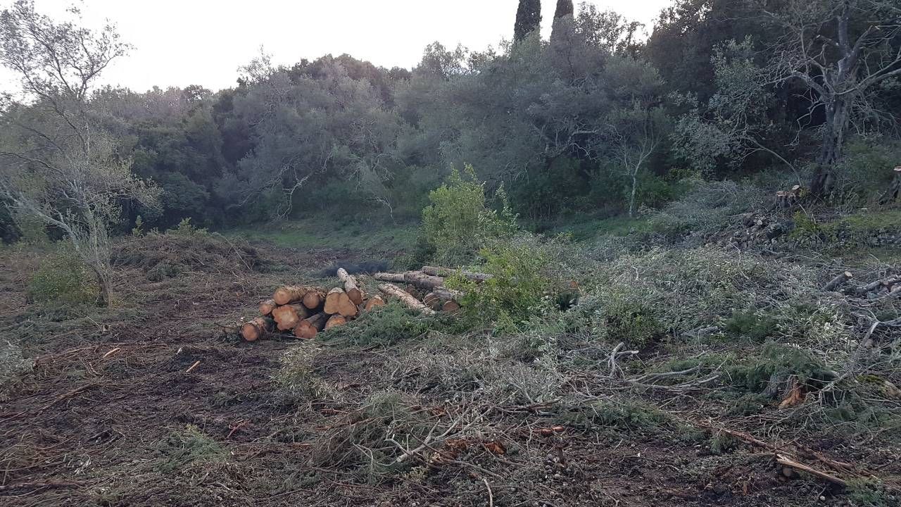 Terreno a Corfù, Grecia, 4 000 m2 - foto 3