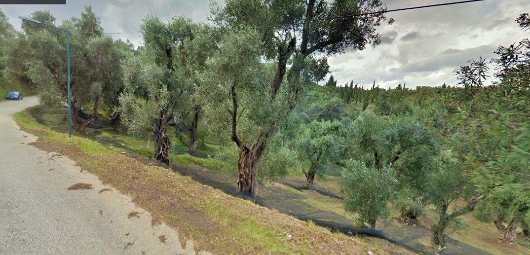 Terreno a Corfù, Grecia, 8 104 m2 - foto 4