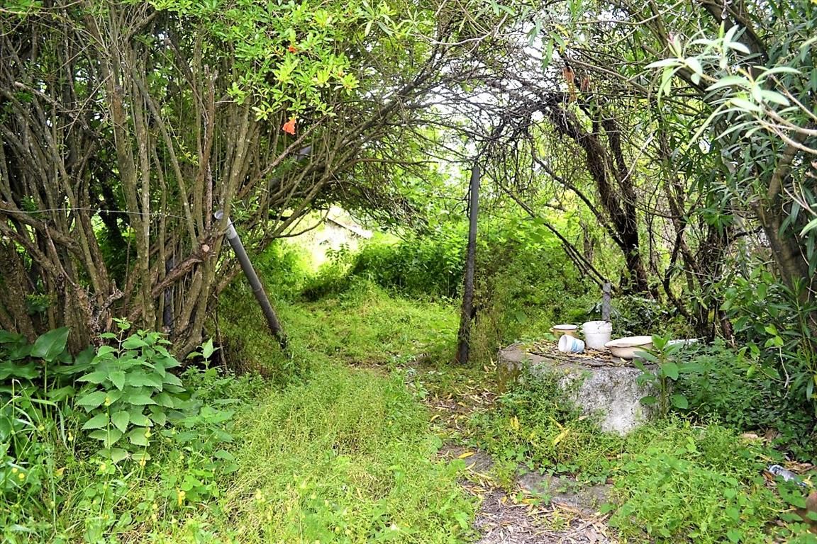 Maisonnette à Corfou, Grèce, 72 m² - image 4