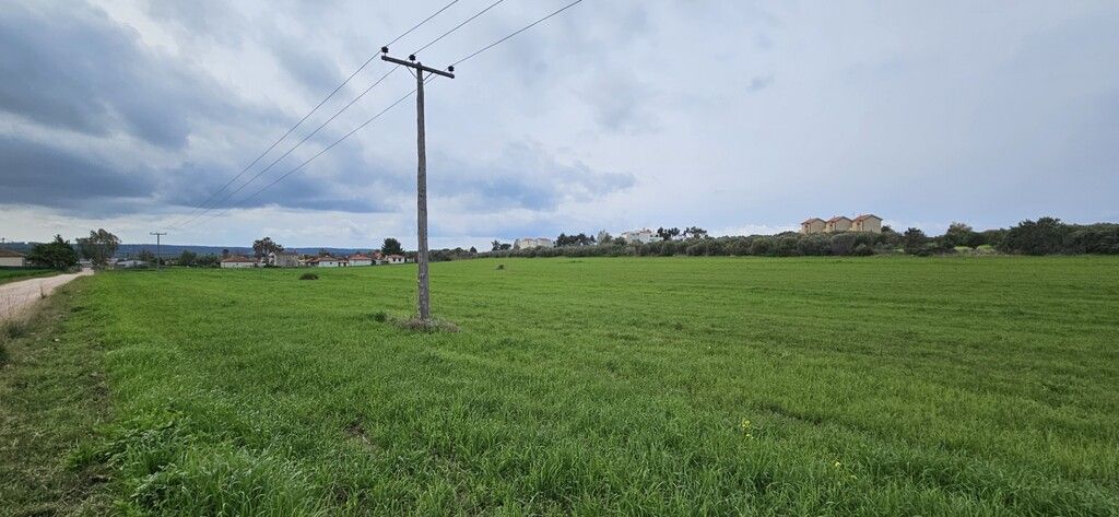 Terreno a Kassandra, Grecia, 55 000 m2 - foto 4