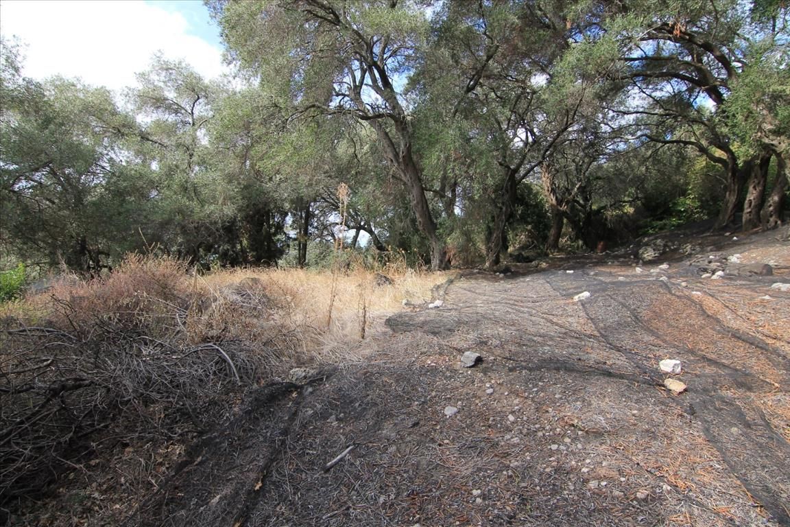 Grundstück in Korfu, Griechenland, 5 000 m² - Foto 4