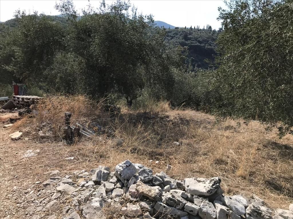 Terrain à Corfou, Grèce, 6 000 m² - image 4