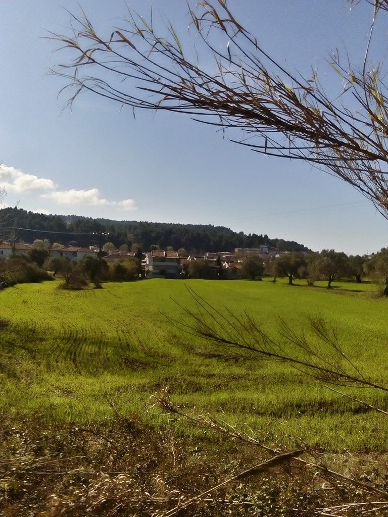 Land in Kassandra, Greece, 18 480 m² - picture 4