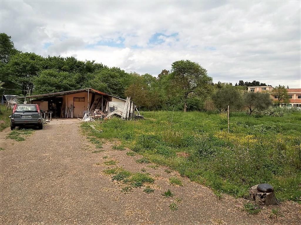 Terreno a Corfù, Grecia, 800 m2 - foto 5