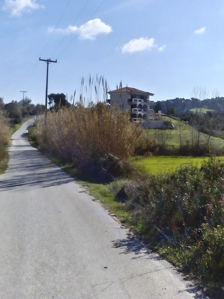 Land in Kassandra, Greece, 18 480 m² - picture 5