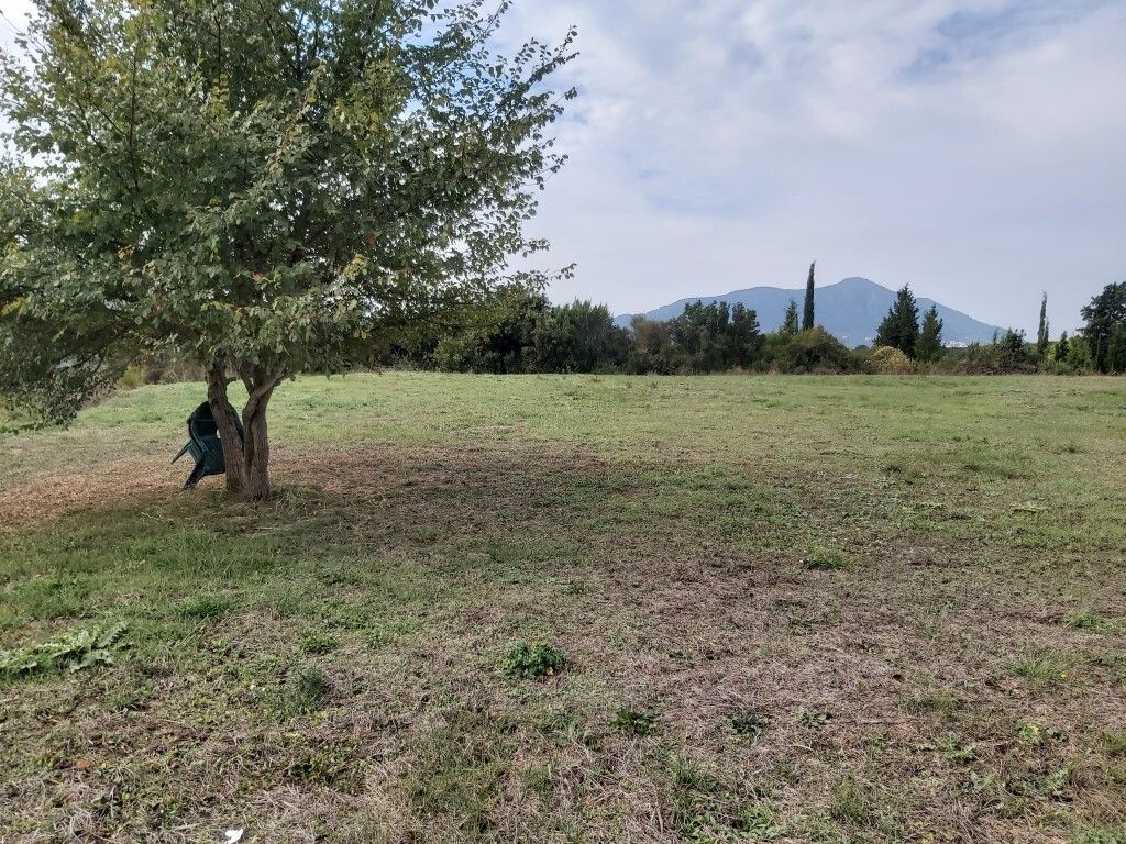 Land in Corfu, Greece, 7 421 m² - picture 6