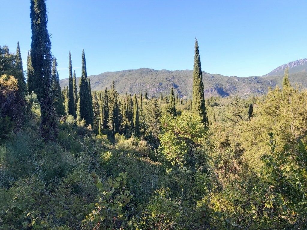 Terreno a Corfù, Grecia, 8 250 m2 - foto 6