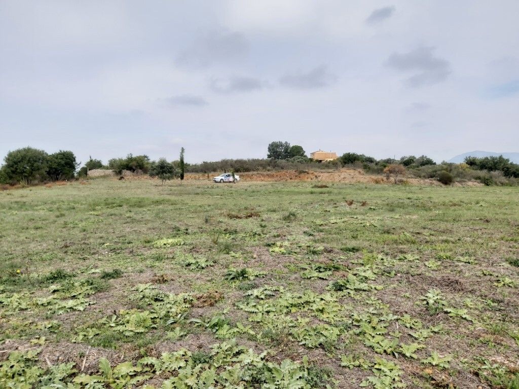 Land in Corfu, Greece, 7 421 m² - picture 7