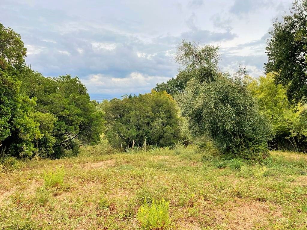 Terrain à Corfou, Grèce, 4 470 m² - image 7